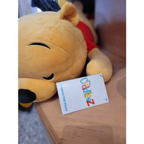 Disney Parks Sleeping Winnie the Pooh Cuddleez Large Plush New with Tags