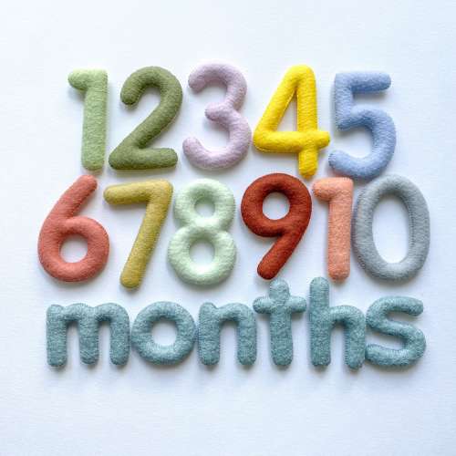 Felt Baby Monthly Milestone Numbers, Custom Colors
