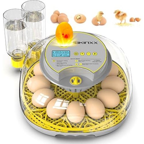 Incubator for Hatching Eggs-12 Egg Capacity, Automatic Egg Turner, Temperature & Humidity Control, 360° Viewing for Chicken, Duck and Quail Eggs
