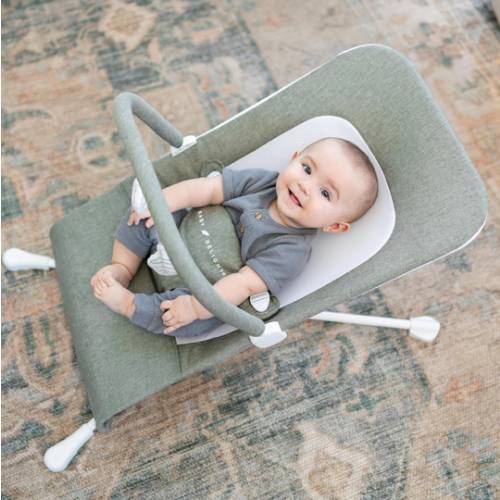 Baby Delight Highland Baby Bouncer | Infant | 0 – 6 Months | 3-Position Recline | Sage Tweed