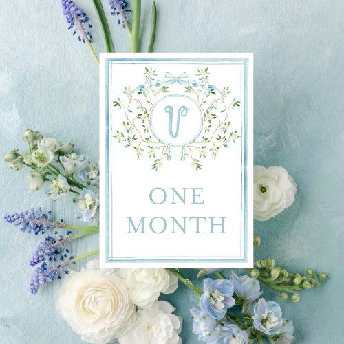 Personalized Milestone Sign for Baby Girl or Baby Boy | Heirloom Milestone Marker with Handpainted Watercolor Magnolia Crest & Monogram