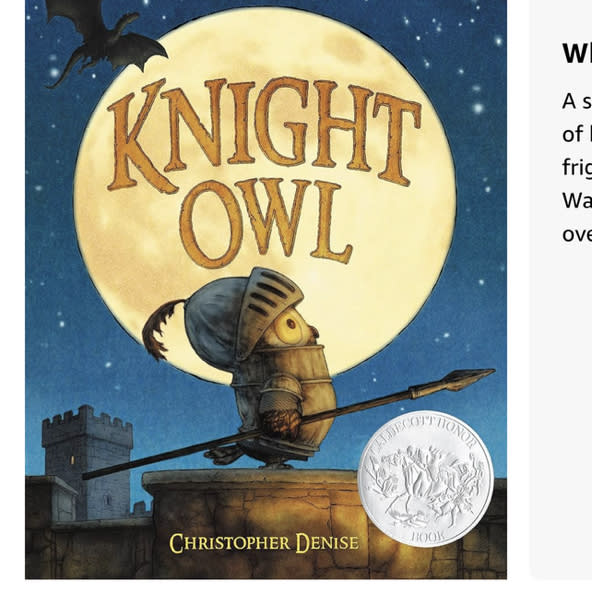 Knight Owl (Caldecott Honor Award Winner) (The Knight Owl Series, 1)