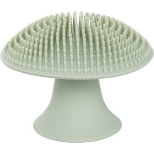 Mushroom Sponge