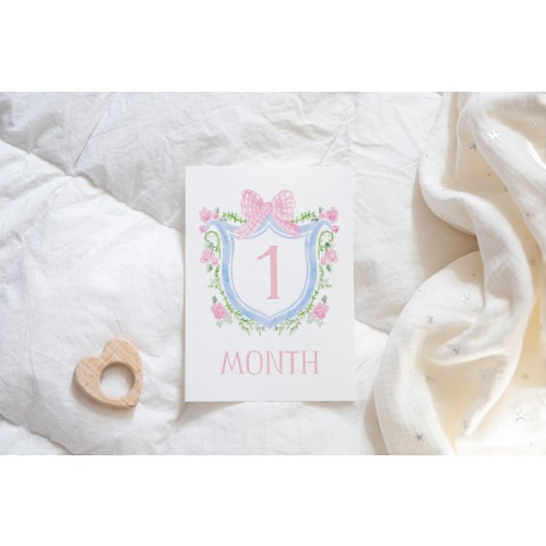 Baby Girl Milestone Cards, Watercolor Pink Floral Crest Milestone Cards, Bow Girl Monthly Milestones, Baby Shower Gift, Baby Month Cards