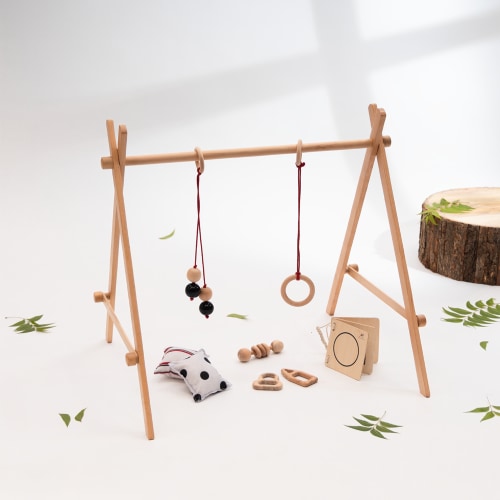 Ariro Floor gym, Neem teethers & Rattle for newborn