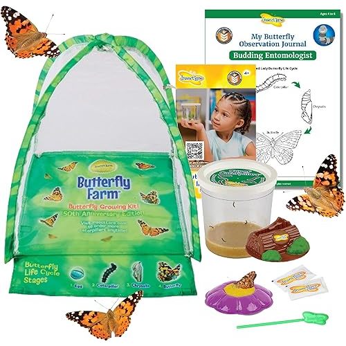 Insect Lore Butterfly Farm | Butterfly Kit with Live Cup of Caterpillars | 5 Caterpillars, Reusable Habitat, STEM Butterfly Journal & More