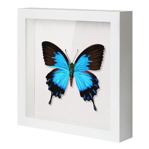 QDSSDECO 12x12 Shadow Box Frame with Linen Backboard & Real Glass, Wood Display Case, Deep Showcase to Hang The Photos, Tickets, Wedding Bouquets, Medals, Baby Sports Memorabilia,White