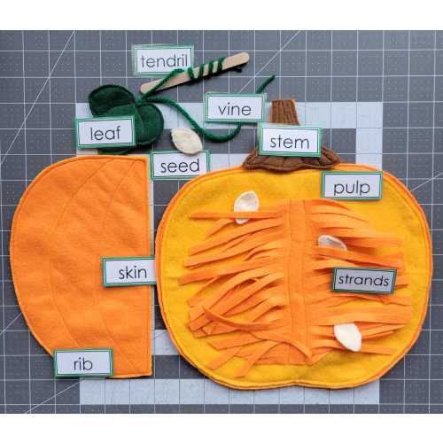 Parts of a Pumpkin Felt Puzzle, Squash Fruit Life Cycle, Montessori Waldorf material, Science Cultural, Fall Pre-K Kindergarten Activity