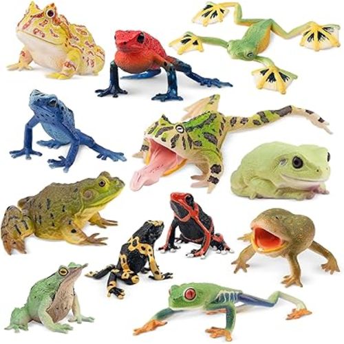 Toymany Frog Toy Figures, Plastic Rainforest Woodland Animals Toy Frogs Set with Realistic Poison Dart Frog, Cake Topper Party Favor Garden Flowerpot Plants Decor