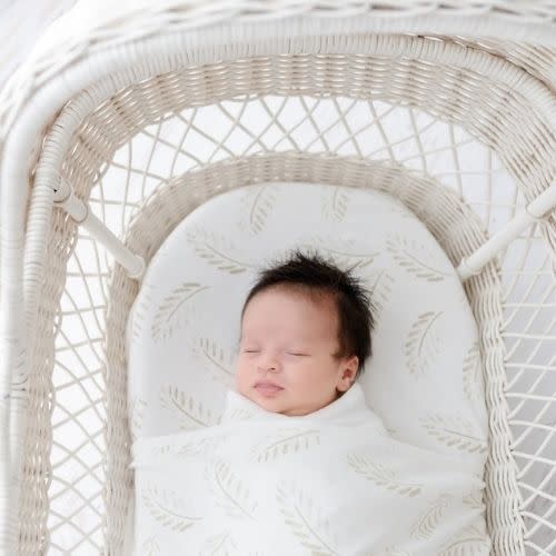 Fitted Jersey Cotton Bassinet sheet/Change Table Cover | Gold Fern