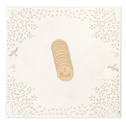 Baby Just Born® Baby Milestone Blanket Set