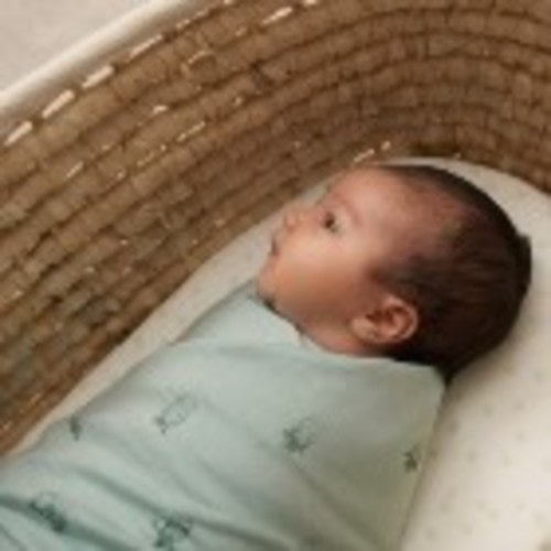 Honest Wolf Moses Basket Mattress Cover | Moses Basket Bedding | The Sleep Store