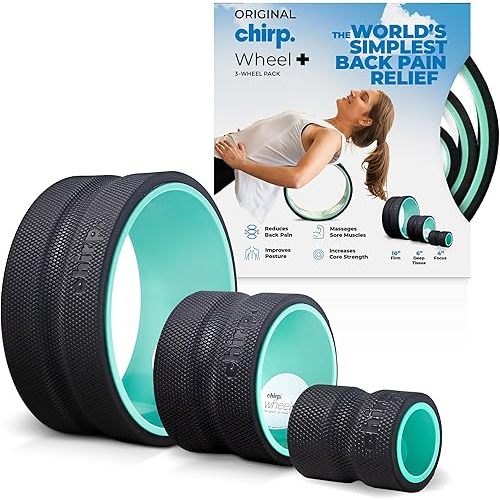 Chirp Wheel Foam Roller - Targeted Back Foam Roller for Back Pain Relief, Deep Tissue Muscle Massage, Trigger Point Round High Density Foam Roller for Physical Therapy & Exercise, 3-Pack Mint