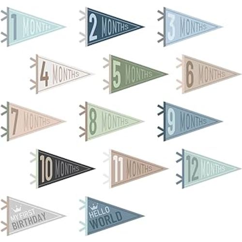 14 Pcs Baby Milestone Pennant Signs Monthly Milestone Banner Flags Pennant Triangle Banner Age Flag Signs for Boy Girl Newborn Birthday Party Decor(Ocean Color)