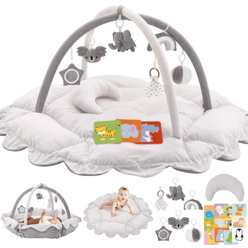 5-in-1 Plush Baby Play Gym, Baby Play Mats, Convertible Baby Gym with Pillow, Tummy time mat, 6 Sensory Toys, Baby Activity Center from Newborn to Toddler, Pet Bed, Cat & Dog Bed, Ball Pit, Grey