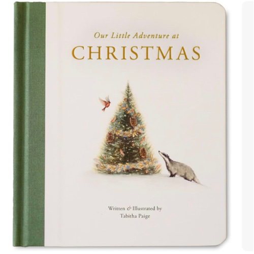 Our Little Adventure at Christmas: Featuring Foundational Language Concepts and Lessons on the Joy of Giving (Tabitha Paige Children's Book Series)