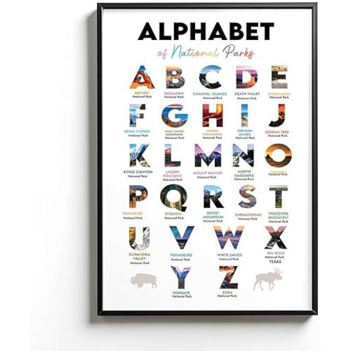 InkTitis National Park Alphabet - Alphabet Poster - National Park Nursery - Kids Room Decor - Playroom Decor - Art Decor - Woodland Themed Nursery Gift - National Park Wall Art, 11”x17”, White