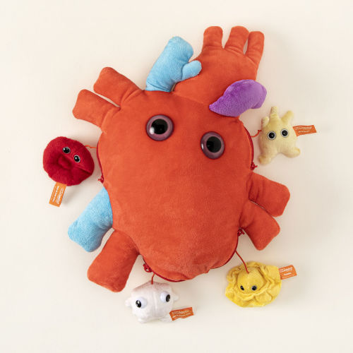 Giant Heart with Hidden Cells