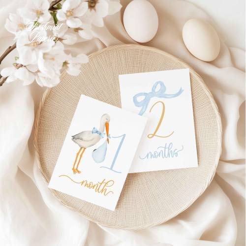 Boy Milestone Cards | Milestone cards | Stork | Baby Gift | New Mom | Gift Ideas | Baby Shower | Baby Month Cards | Memories | Baby Boy