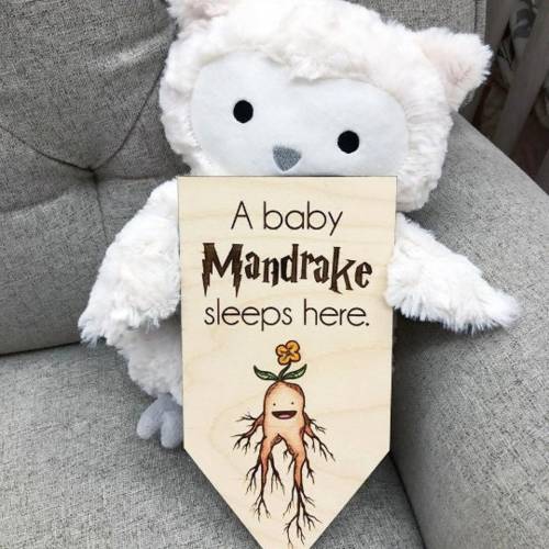 Hand Painted Baby Mandrake Sign | Nursery Decor | Tiny Crib Sign | Wooden Mandrake Sign | Nerd Decor | Wood Sign | Nursery | Baby