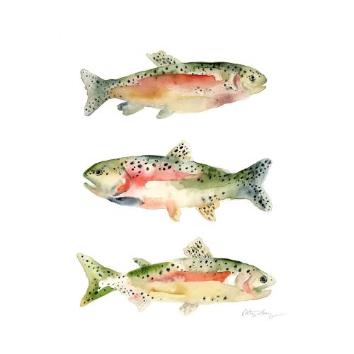 Rainbow Trout Watercolor Art Print / Rainbow Trout Trio Art Print / Father's Day Gift / Gift for Fishing Hobbyists
