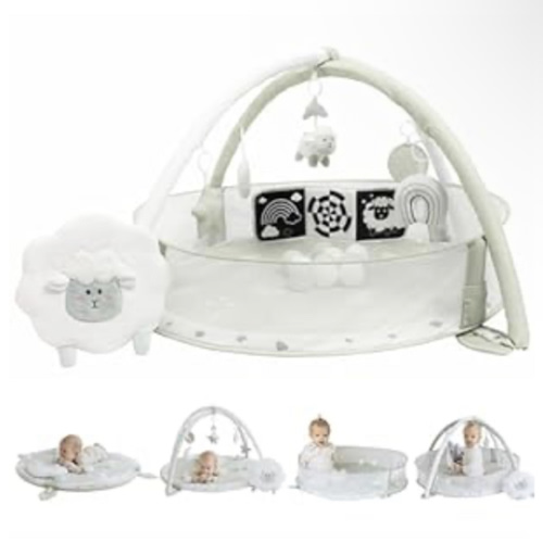 6-in-1 XL Play Mat & Play Gym, Baby Gym, Baby Activity Gym, Sensory Exploration and Motor Skill Development Toys (Sage)