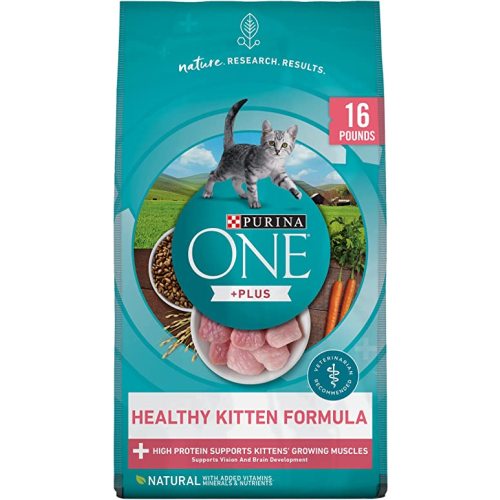 Purina ONE Healthy Kitten Dry & Wet Kitten Food - Dry Food - Chicken - 16 LBS