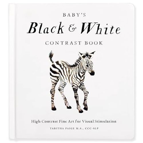 Baby's Black and White Contrast Book: High-Contrast Art for Visual Stimulation at Tummy Time (Our Little Adventures Series)