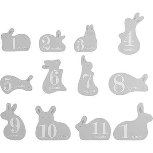 Pearhead Wooden Bunny Monthly Milestone Discs, Baby Photo Prop Keepsakes for Capturing Monthly Growth Through Baby’s First Year, Gift for Baby Girl or Baby Boy