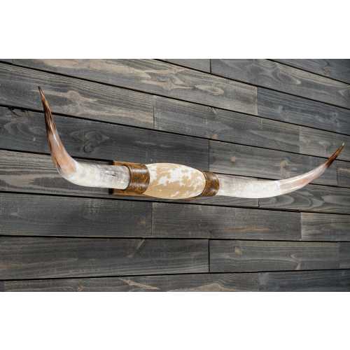 Longhorn Wall Mount 5' 0" - Authentic Leather and Cowhide - Western Decor - Real Steer Horns