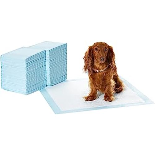 Amazon Basics Dog and Puppy Pee Pads with Leak-Proof Quick-Dry Design for Potty Training, Standard Absorbency, Regular Size, 22 x 22 Inches, Pack of 100, Blue & White