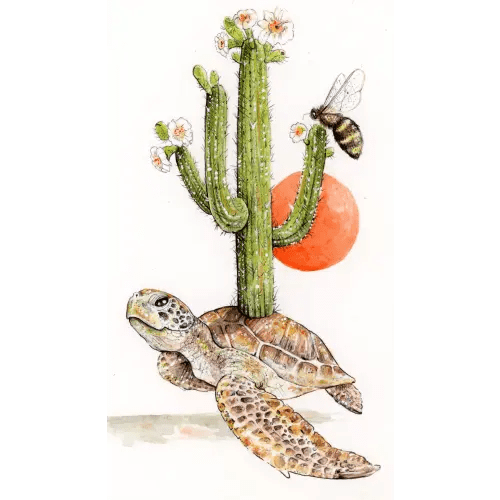 "Drawing of the Day 70"- Sea Turtle + Saguaro Cactus — Marissa Quinn