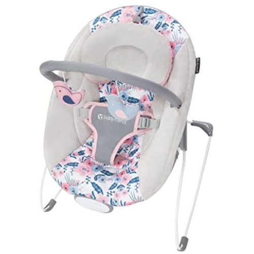 Baby Trend EZ Bouncer, 24.33x18.11x22.05 Inch (Pack of 1)