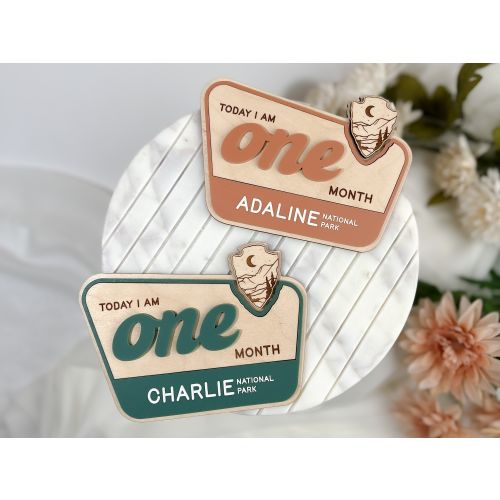 National Park Milestone Markers | Interchangeable Milestone Marker | Wood First Year Photo Prop | Monthly Age Marker | Baby Shower Gifts