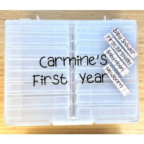 Picture Box Labels Baby&#39;s First Year | Pregnancy, Newborn, First Birthday, Baby Girl, Baby Boy, Keepsake Gift New Mom Gift Baby Shower Gift