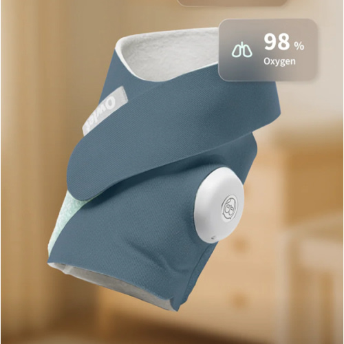 Dream Sock® – Owlet US