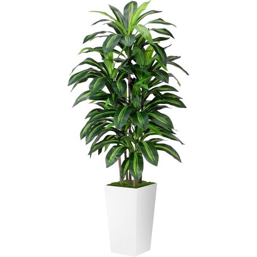 Artificial Dracaena Plant Indoor 5FT - Fake Tree with White Tall Planter - Faux Yucca Tall Fake Floor Plant in Pot - Artificial Trees for Home Office Living Room Decor Indoor
