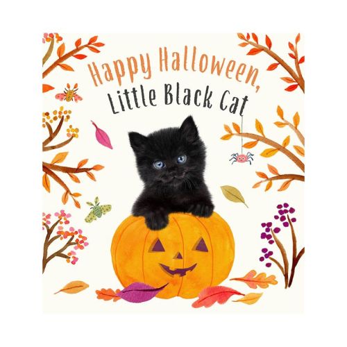 Happy Halloween, Little Black Cat - (Baby Animal Tales) by Amanda Wood (Board Book)