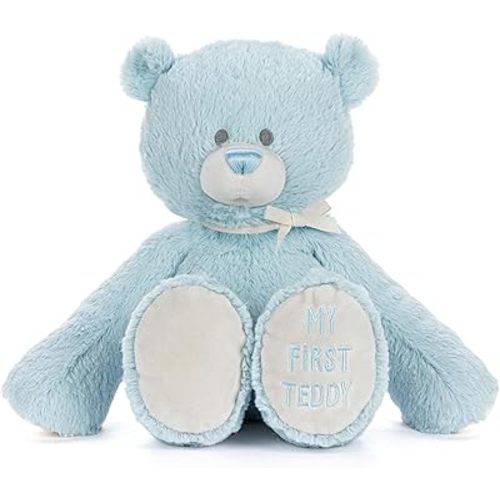 DEMDACO Welcome to The World, 12 x 11 Inch, Ultra Soft Polyester, Huggable, Cuddly, Toy, Stuffed Plush Animal, Blue, My First Teddy Bear