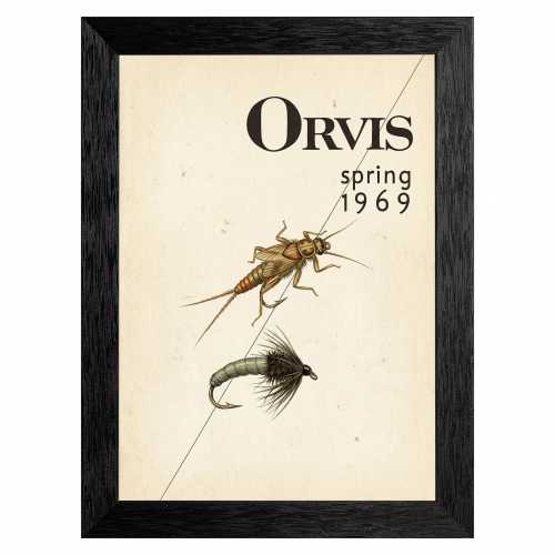 Vintage Fly Fishing Stonefly Caddis Illustration, Mid-Century Sporting Decor (Ready to Hang)