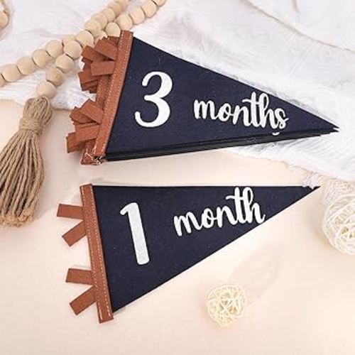 12 PCS Baby Monthly Milestone Felt Pennant - Navy Blue 1 to 12 Months Milestone Photo Props, Newborn Growth Record Triangle Banner, First Year Pennant Milestone Signs, Boys Monthly Pennant Photo Props