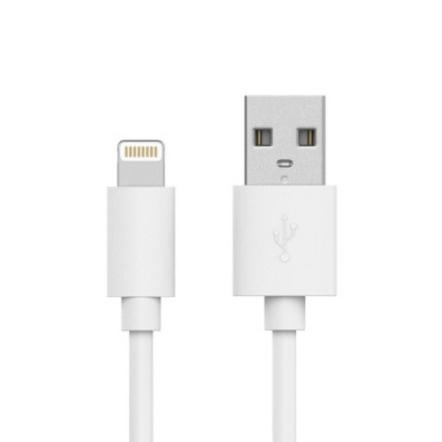 Lightning to USB-A Cable 10ft Charger
