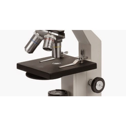 Microscope World Blog: Semen Microscope