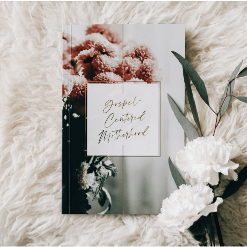 Gospel-Centered Motherhood | TDGC – The Daily Grace Co.