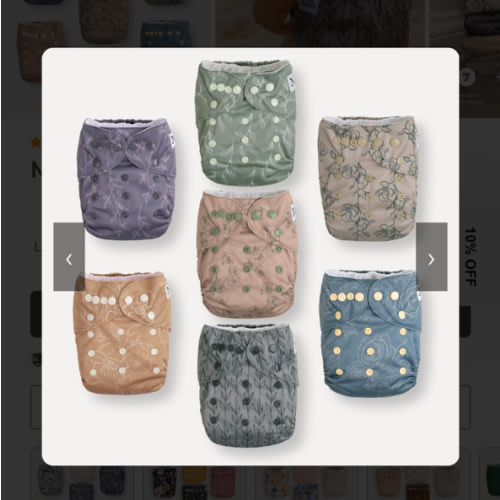 Modern Blooms Pocket Diapers