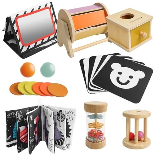 Montessori Toys for Babies 6 Months, Montessori Learning Educational Toys with Spinning Drum Baby Toy, Object Permanence Box
