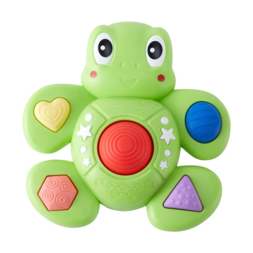 Sensory Turtle Toy
