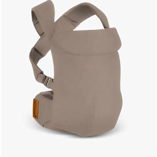 Desert Lark - Aerial Carrier – WildBird