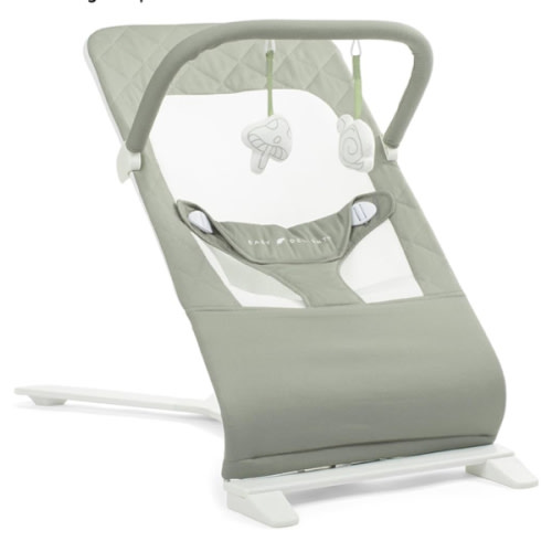 Baby Delight Highland Baby Bouncer | Infant | 0 – 6 Months | 3-Position Recline | Sage Tweed