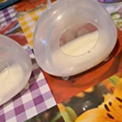 haakaa Ladybug Breast Milk Collector - Soft Breast Shells | Wearable Nursing Cups | Breastmilk Saver| Letdown Catcher for Pumping,Breastfeeding Moms,Protect Sore Nipples(Silicone 2.5 oz/75 ml,2PK)